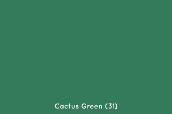 Cactus Green B31