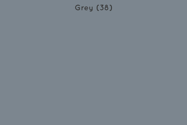 Grey T38